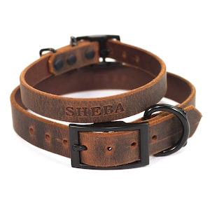 Personalized Distressed Brown Leather Dog Collar, Black Metal Hardware, Embossed Name