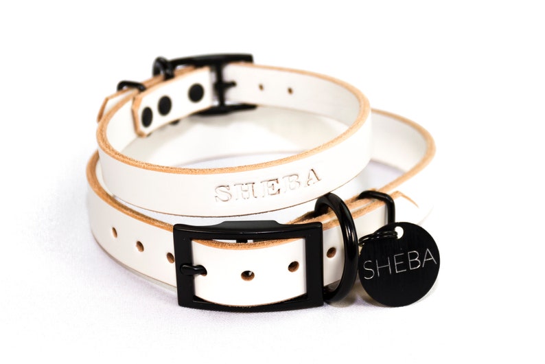 dog collar name plate machine