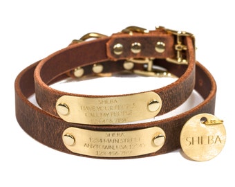 Personalized Distressed Brown Leather Dog Collar, Gold Tone, Solid Brass Nameplate with 4 Lines of Text, Matching Brass ID Tag