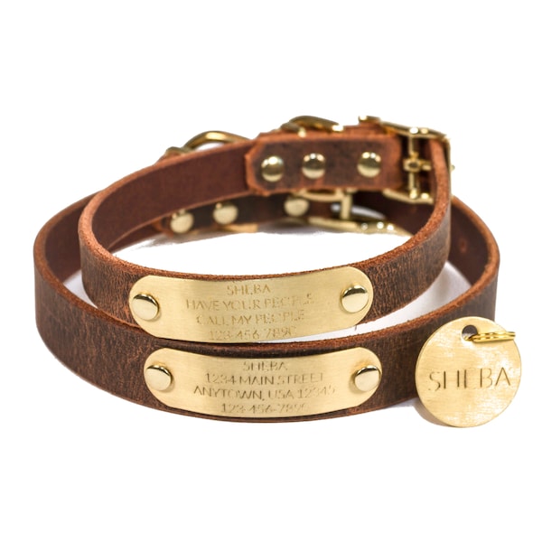 Dog Collar Matching Bracelet Etsy