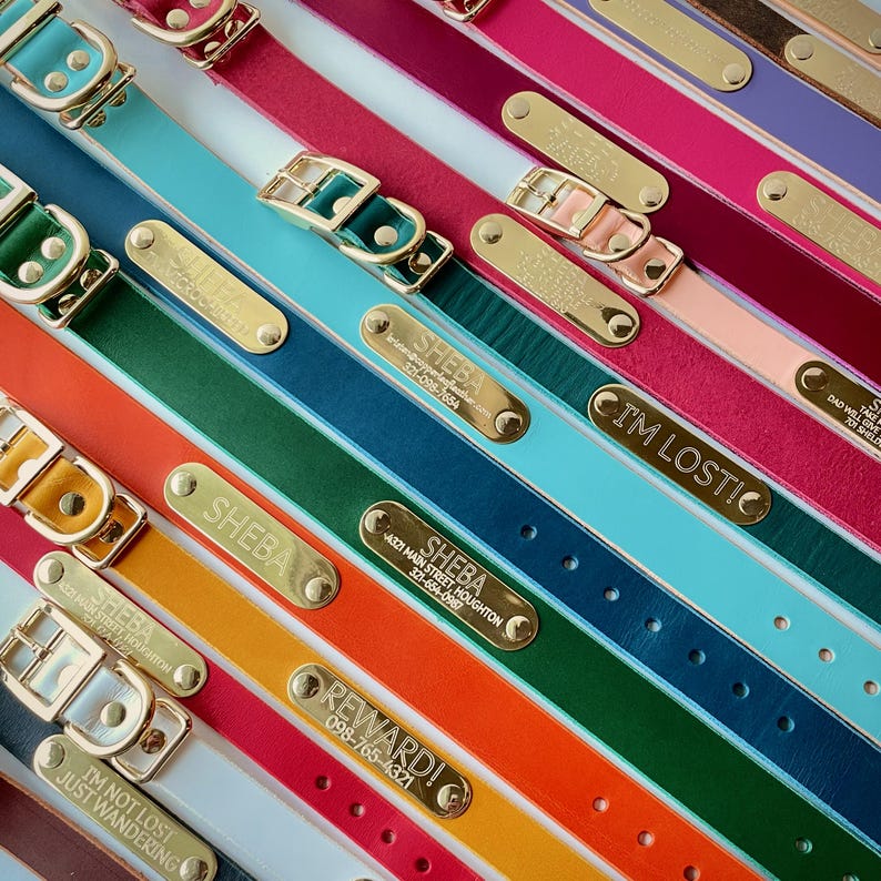 Engraved Solid Brass Dog Collar Nameplate: Silent Rivet-On ID Tag, Custom Engraved Pet Plate zdjęcie 7