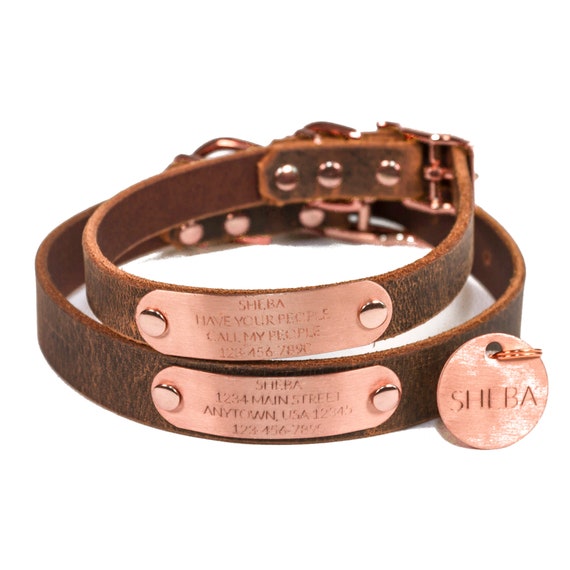 Copper dog collar discount