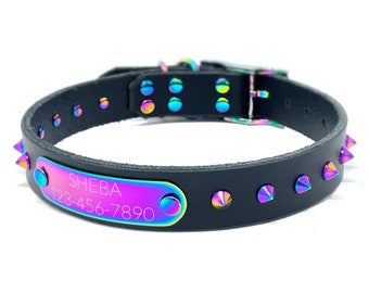 Personalized Rainbow Spiked Black Leather Dog Collar, with Rainbow Metal Spike Studs, Engraved Rainbow Nameplate Quiet Dog Tag