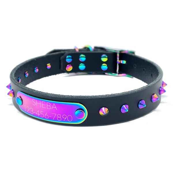Personalized Spiked Black Leather Dog Collar: Rainbow Studs, Engraved Nameplate