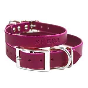 Personalized Leather Dog Collar, Magenta Purple Leather, Silver / Nickel Tone Buckle, with FREE Name, Pick Your Font