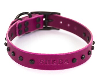 Collar de perro de cuero púrpura magenta tachonado personalizado, con hebilla de metal negro mate y remaches de cúpula, nombre en relieve