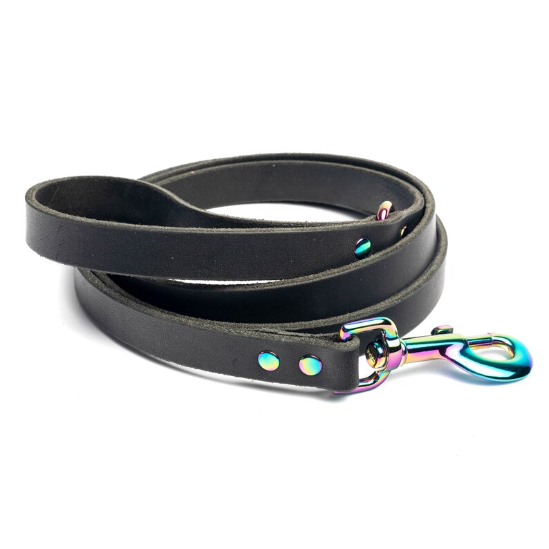 Op de afbeelding: Een zwarte leren hondenriem met een regenboogkleurige metalen gesp. De riem is dubbelgevouwen en de gesp is zichtbaar.