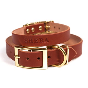 Personalized Brown Leather Dog Collar, Brass / Gold Tone Buckle, Embossed Name