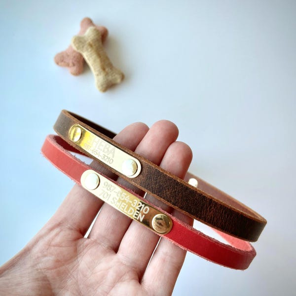 Personalized Leather Dog House Collar Slip-On with Brass Nameplate: Narrow Indoor Non-Adjustable Necklace in 16 Colors, For Cats Too