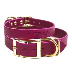Personalized Leather Dog Collar, Magenta Purple Leather, Brass / Gold Tone Buckle, Embossed Name, Pick Your Font