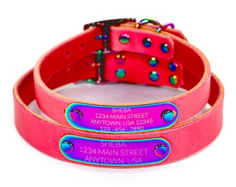May include: Pink leather dog collar with two iridescent metal tags. The tags have the name "Sheba" and the address "1234 Main Street, Anytown, USA 12345" and phone number "123-456-7890".