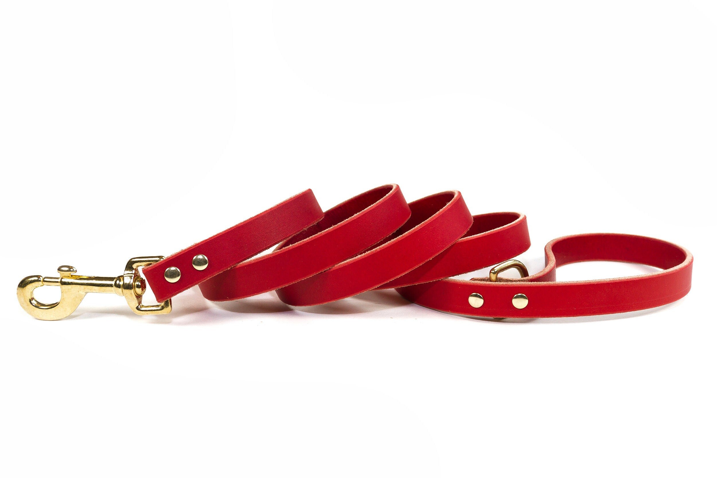 Red Leather Dog Leash With Solid Brass / Gold Tone Hardware Etsy UK