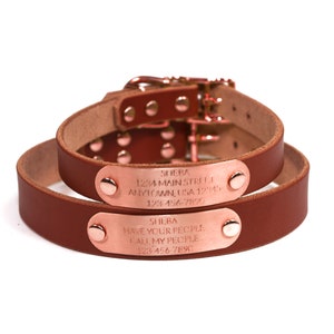 Personalized Brown Leather Dog Collar, with Rose Gold Tone, Solid Copper Nameplate ID Tag, up to 4 Lines of Text