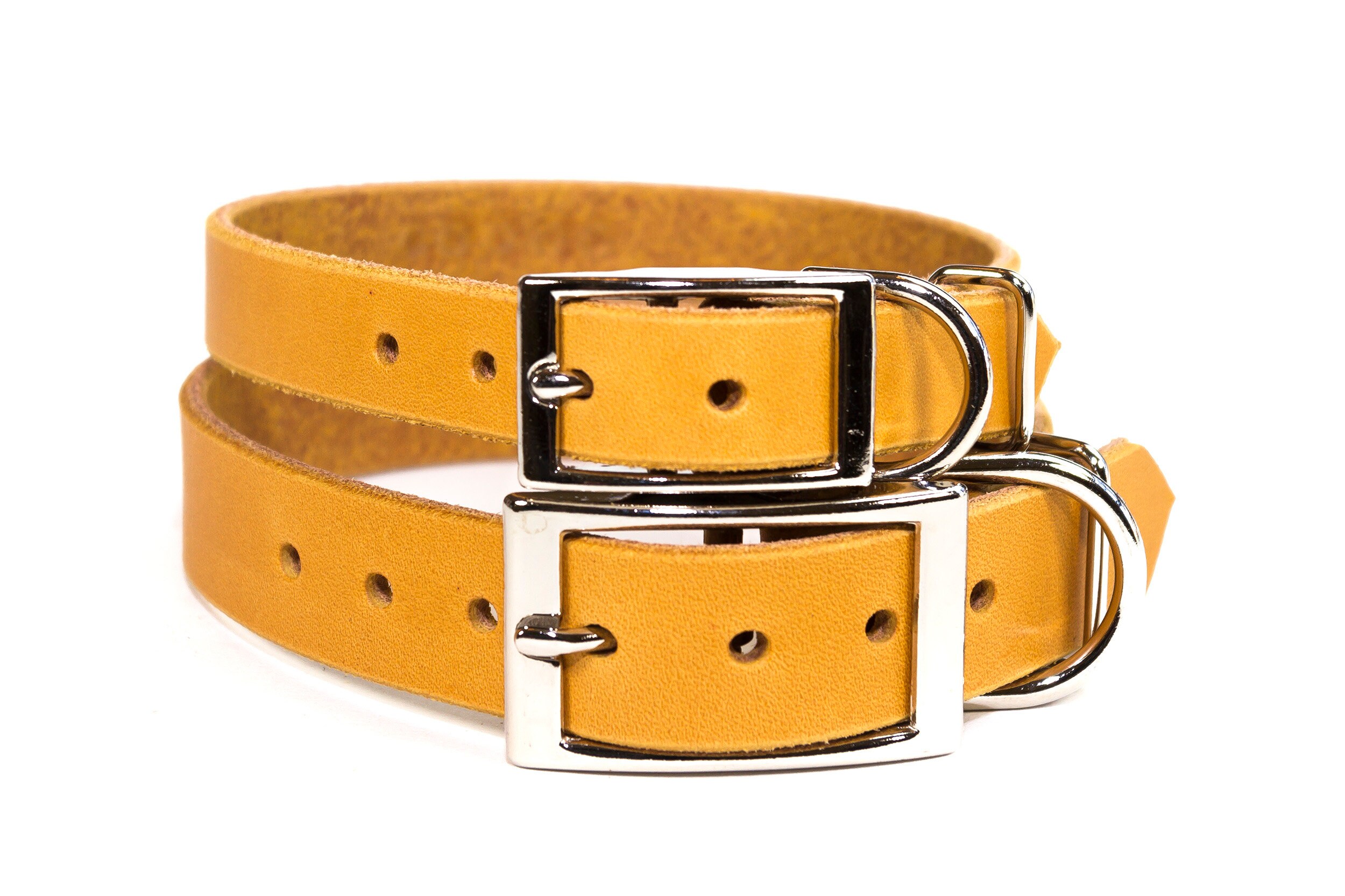 Senfgelbes Hundehalsband aus Leder graviertes Edelstahl | Etsy