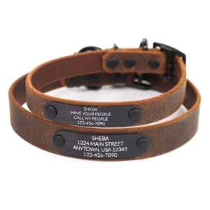 Personalized Distressed Brown Leather Dog Collar, Engraved Black Nameplate Quiet ID Tag