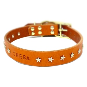 Personalized Star Studded Orange Leather Dog Collar, with Brass / Gold Tone Star Rivets, Matching Buckle, and Engraved Name