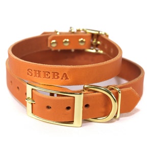 Personalized Orange Leather Dog Collar, Brass / Gold Tone Hardware