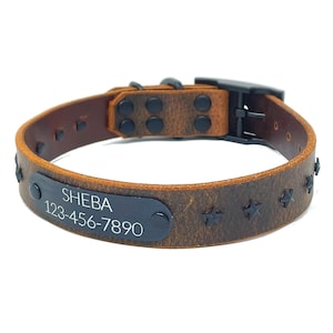 Personalized Star Studded Leather Dog Collar: Engraved Black Stainless Nameplate