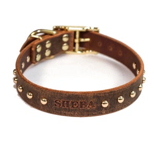 Personalized Studded Distressed Brown Leather Dog Collar, with Gold / Brass Tone Hardware and Dome Rivets