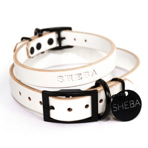 Personalized White Leather Dog Collar, Engraved Round Black Hanging Tag