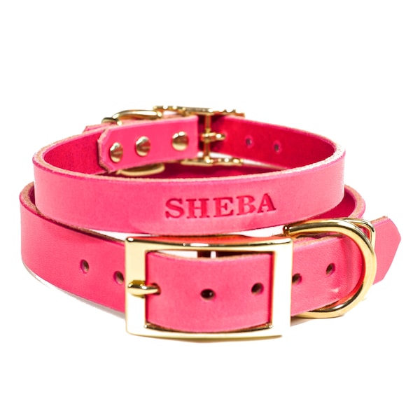 Personalized Leather Dog Collar, Pink Leather, Brass / Gold Tone Buckle, with FREE Name, Pick Your Font