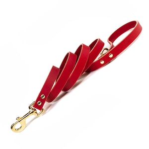 May include: A red leather dog leash with a gold metal clasp and two gold metal rivets.