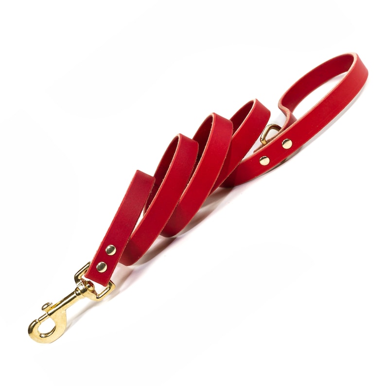 May include: A red leather dog leash with a gold metal clasp and two gold metal rivets.