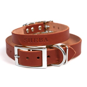 Personalized Brown Leather Dog Collar, Nickel / Silver Tone Buckle, Embossed Name