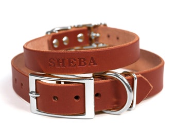 Personalized Brown Leather Dog Collar, Nickel / Silver Tone Buckle, Embossed Name