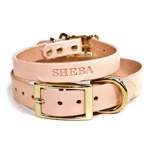 Personalized Natural Beige Leather Dog Collar, Brass / Gold Tone Hardware, Embossed Name