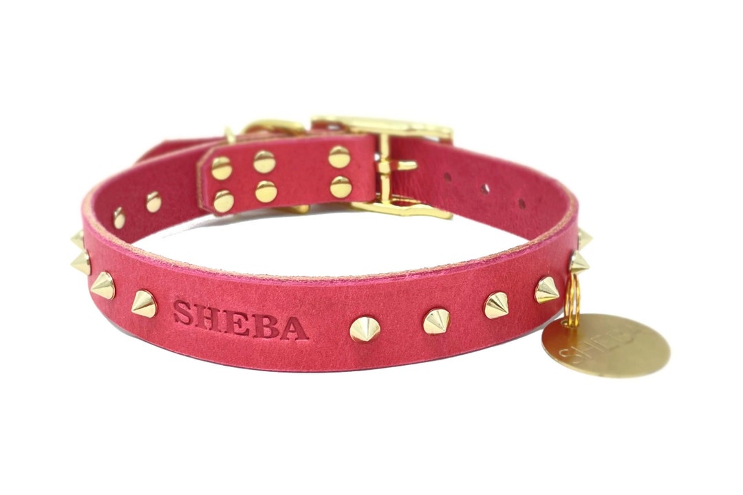 Personalized Spiked Pink Leather Dog Collar Brass / Gold Tone Etsy