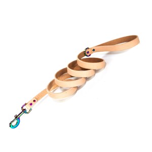 Handmade Natural Beige Leather Dog Leash, Rainbow Metal Hardware and D Ring