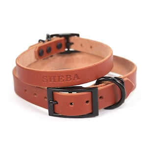 Personalized Brown Leather Dog Collar, Black Metal Hardware, Embossed Name