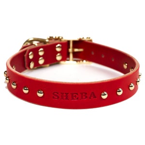 May include: Red leather dog collar with gold studs and the name "SHEBA" embossed on the front.