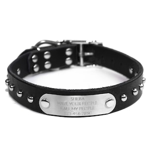 May include: Black leather dog collar with silver studs and a silver nameplate that reads "SHEBA HAVE YOUR PEOPLE CALL MY PEOPLE 123-456-7890".