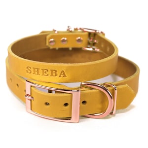Personalized Mustard Yellow Leather Dog Collar, Rose Gold / Copper Tone Buckle, with Embossed Name, Pick Your Font
