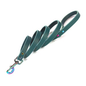 Handmade Teal Green Leather Dog Leash, Rainbow Metal Hardware and D Ring