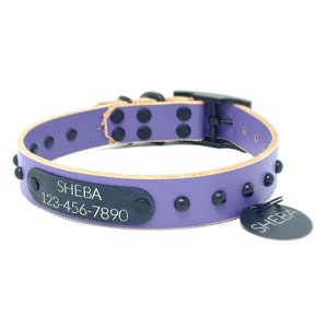 Personalized Periwinkle Leather Dog Collar: Studded with Engraved Nameplate