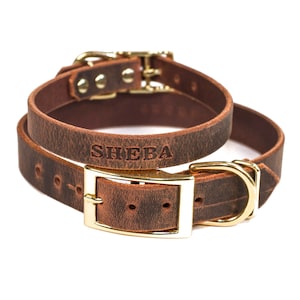 Personalized Distressed Brown Leather Dog Collar, Gold Brass Buckle and FREE Name, Pick Your Font