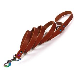 Handmade Brown Leather Dog Leash, Rainbow Metal Hardware and D Ring