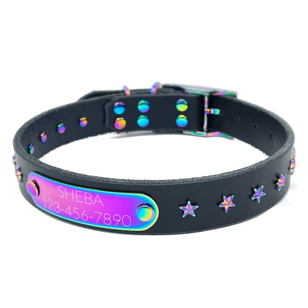 Personalized Black Leather Dog Collar: Rainbow Star Rivets, Engraved Nameplate