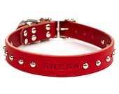🐕 Collar De Cuero Para Perro Con Tachuelas De Latón - Diseño ZAIN TACK (6 Colores) | Ajustable