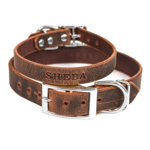 Personalized Brown Distressed Leather Dog Collar, Silver Nickel Buckle and Embossed Name, Pick Your Font