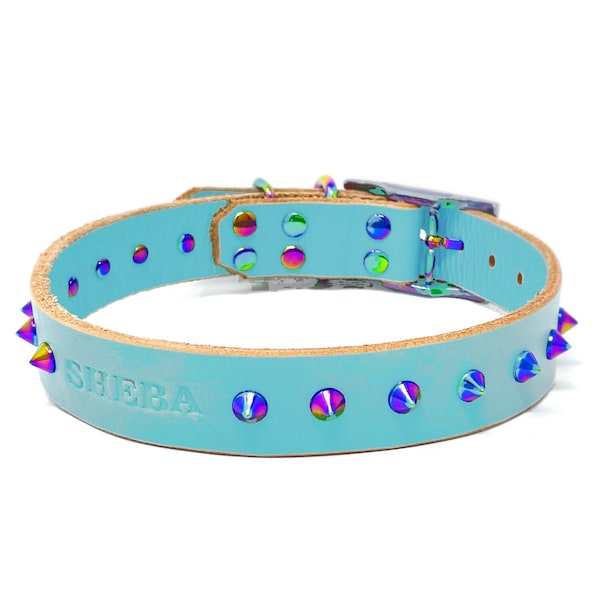 Spiked Dog Collar Etsy