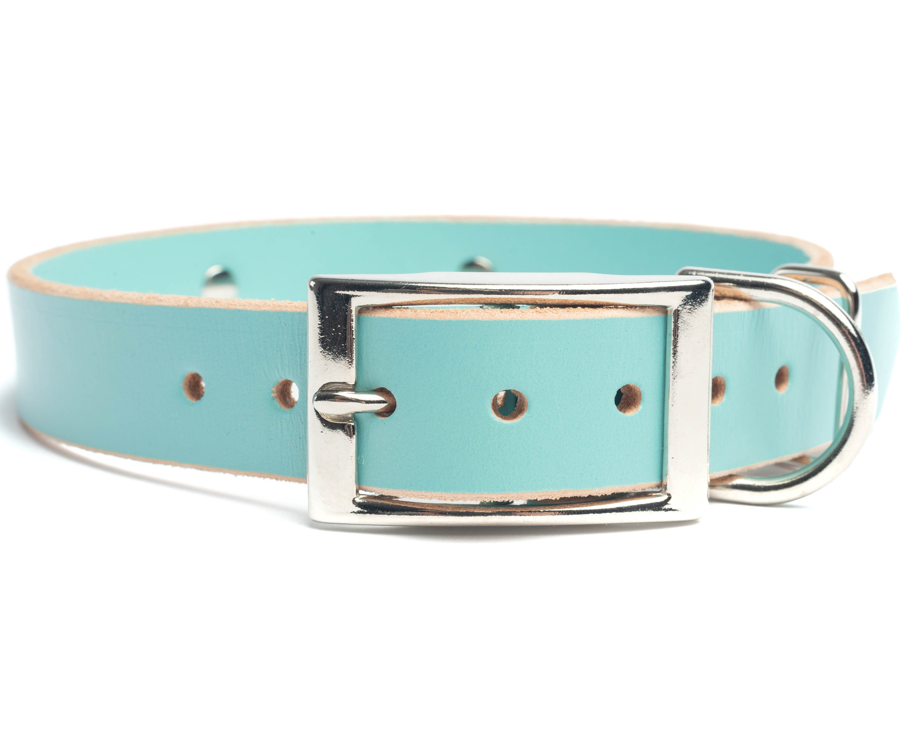 Personalized Studded Light Blue Leather Dog Collar Nickel / | Etsy