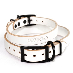 Personalized White Leather Dog Collar, Black Metal Hardware, Embossed Name