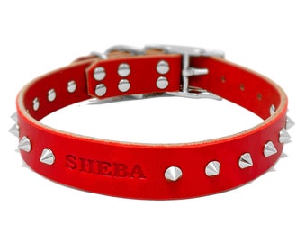 May include: Red leather dog collar with silver-colored spikes and a metal buckle. The name "SHEBA" is embossed on the collar. A stylish accessory for a pet.