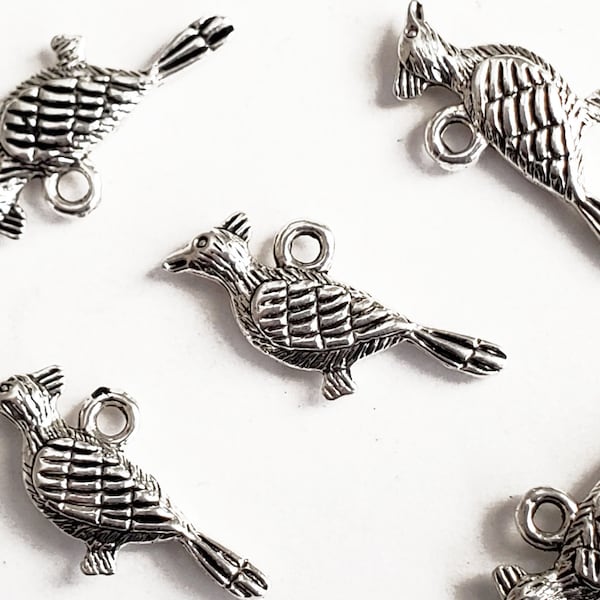 10 Roadrunner Charms, Platinum Tone Desert Bird Pendants, New Mexico Bird  14mm x 24mm - 10 pieces