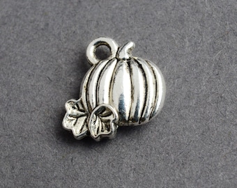 May include: Silver charm in the shape of a pumpkin with a leaf detail.