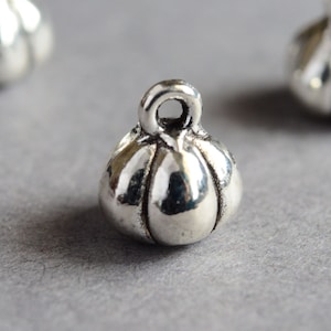 May include: Silver charm in the shape of a pumpkin with a loop at the top for attaching to a necklace or bracelet.